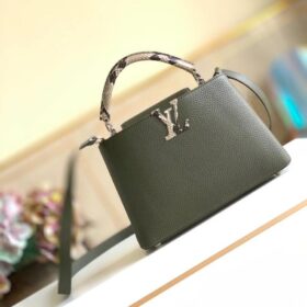 LV Capucines BB Python Handle