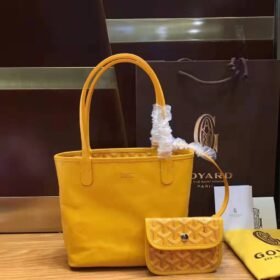 Goyard Anjou Mini Yellow