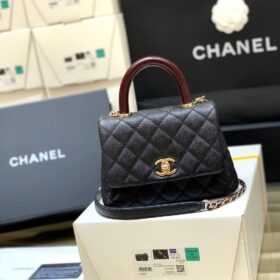 Chanel Extra Mini Coco Handle Flap