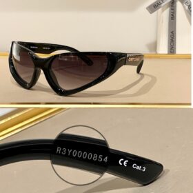 Balenciaga Xpander Cat Eye Frame Sunglasses