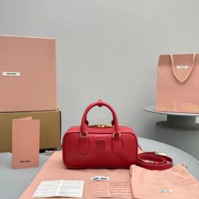 Miu Miu Arcadie Leather Bag