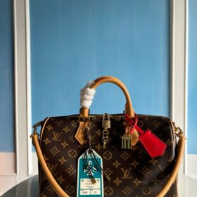 LV Speedy Soft 30 Crafty